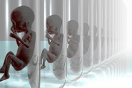 12 января 1998 г. в Париже был подписан Протокол о запрете клонирования человека