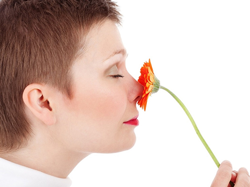 Ученые доказали, что запахи формируют наши воспоминания