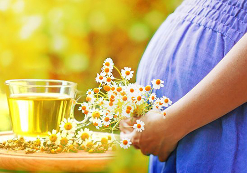 Беременность и травы: как растения влияют на состояние женщины и ребёнка?