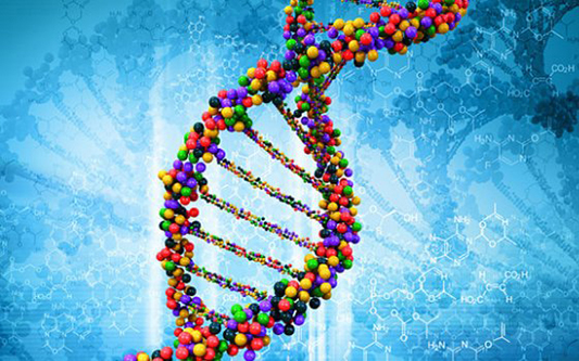 Исследователи узнали, какие гены приводят к циррозу печени