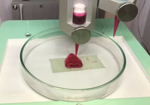 Новая технология 3D-печати меняет принципы транспланталогии
