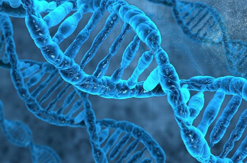 Генетики нашли мутацию, которая делает некоторых людей беззащитными перед лицом рака