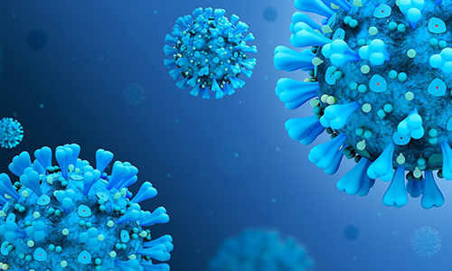 Ученые выяснили, как клеточный иммунитет влияет на борьбу с covid-19