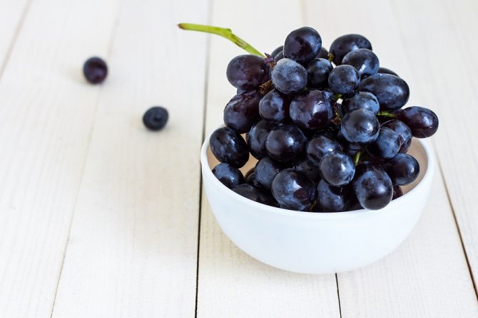 Ежедневное употребление винограда может защитить от болезни Альцгеймера