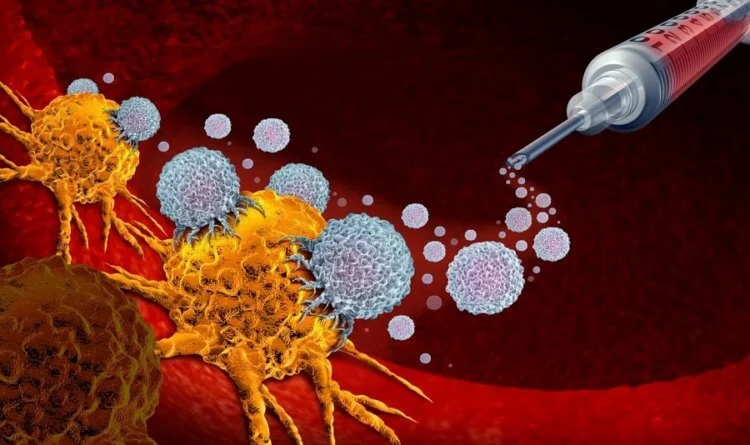Ученые нашли способ усилить иммунитет в борьбе с раком