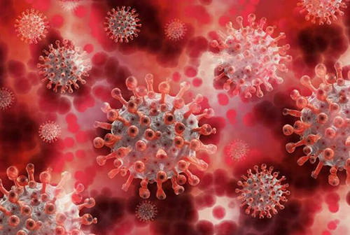 В РФ выявлен три случая заражения штаммом «мю» коронавируса