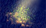 Кишечный микробиом предсказывает течение ревматоидного артрита