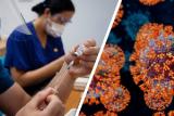 ВОЗ: коронавирус далек от статуса эндемичного