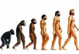 Эволюция может развиваться в четыре раза быстрее
