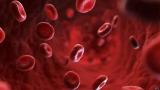 Помогает ли обновление молодой кровью организму стареть медленнее?