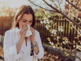 Сезонная аллергия: как облегчить состояние