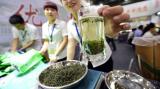 Биологи РУДН обнаружили, что зеленый чай смягчает вред от кальяна